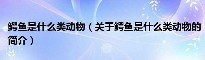 鱷魚是什么類動物（關于鱷魚是什么類動物的簡介）