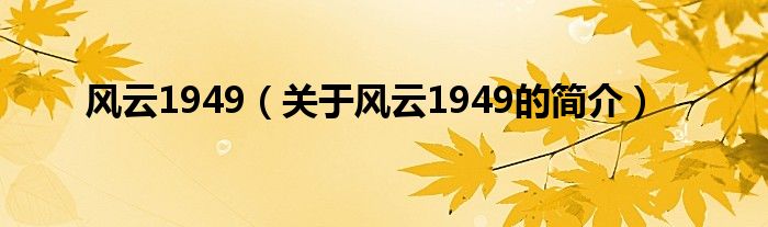 風(fēng)云1949（關(guān)于風(fēng)云1949的簡(jiǎn)介）