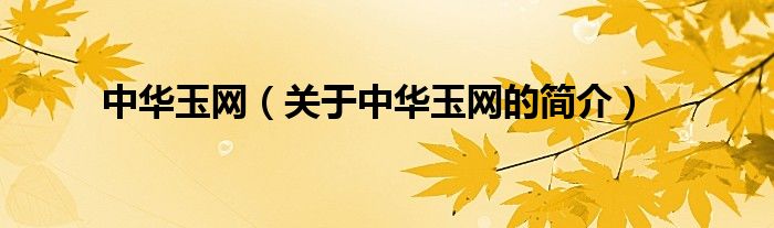 中華玉網(wǎng)（關(guān)于中華玉網(wǎng)的簡(jiǎn)介）