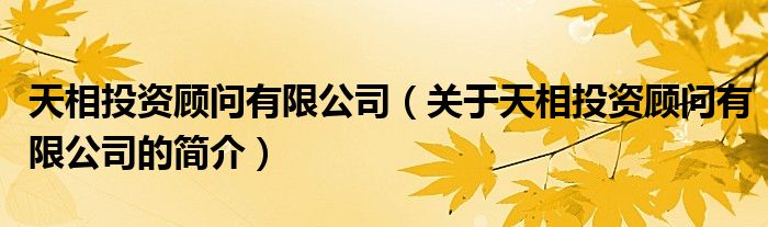 天相投資顧問有限公司（關(guān)于天相投資顧問有限公司的簡(jiǎn)介）