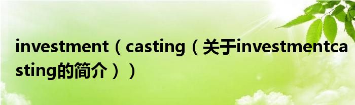 investment（casting（關(guān)于investmentcasting的簡介））