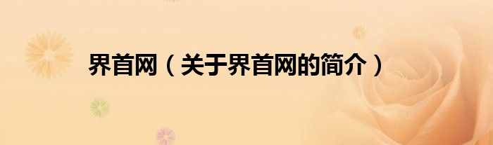 界首網(wǎng)（關(guān)于界首網(wǎng)的簡(jiǎn)介）