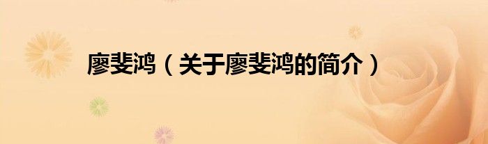 廖斐鴻（關(guān)于廖斐鴻的簡(jiǎn)介）