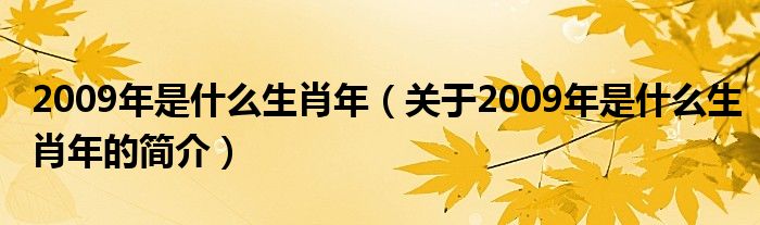 2009年是什么生肖年（關于2009年是什么生肖年的簡介）