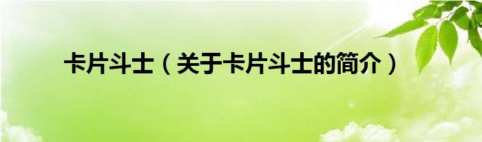 卡片斗士（關(guān)于卡片斗士的簡(jiǎn)介）