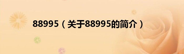 88995（關于88995的簡介）