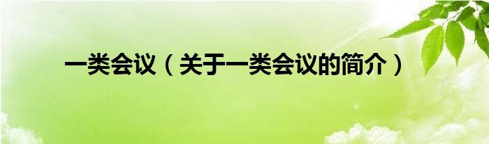 一類會(huì)議（關(guān)于一類會(huì)議的簡(jiǎn)介）