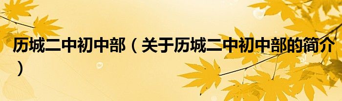 歷城二中初中部（關(guān)于歷城二中初中部的簡(jiǎn)介）