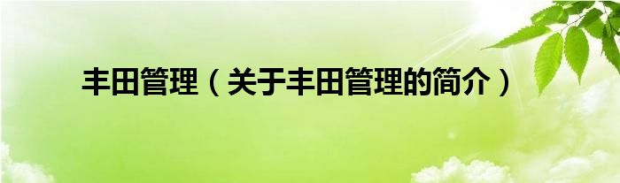 豐田管理（關(guān)于豐田管理的簡(jiǎn)介）