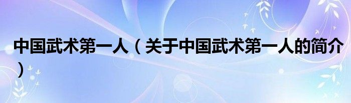 中國(guó)武術(shù)第一人（關(guān)于中國(guó)武術(shù)第一人的簡(jiǎn)介）