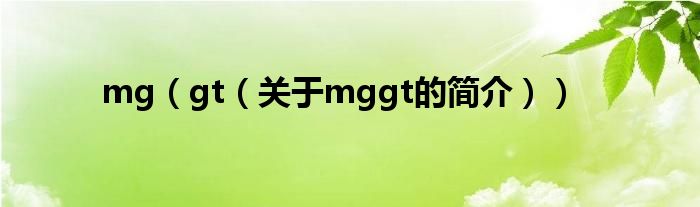 mg（gt（關(guān)于mggt的簡(jiǎn)介））