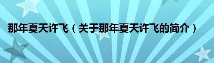 那年夏天許飛（關(guān)于那年夏天許飛的簡(jiǎn)介）