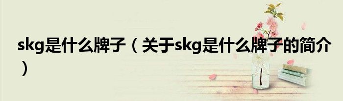 skg是什么牌子（關(guān)于skg是什么牌子的簡介）