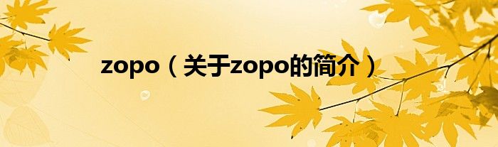 zopo（關于zopo的簡介）