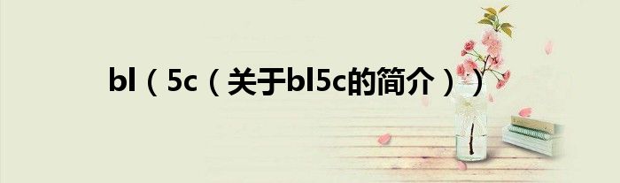 bl（5c（關于bl5c的簡介））