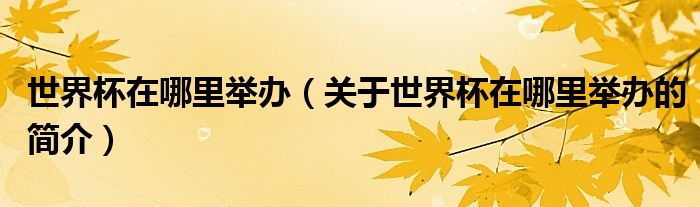 世界杯在哪里舉辦（關(guān)于世界杯在哪里舉辦的簡(jiǎn)介）