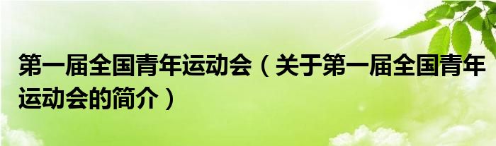 第一屆全國青年運(yùn)動會（關(guān)于第一屆全國青年運(yùn)動會的簡介）