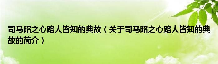 司馬昭之心路人皆知的典故（關(guān)于司馬昭之心路人皆知的典故的簡(jiǎn)介）