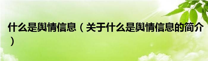 什么是輿情信息（關(guān)于什么是輿情信息的簡介）