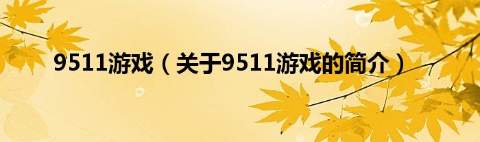 9511游戲（關(guān)于9511游戲的簡(jiǎn)介）