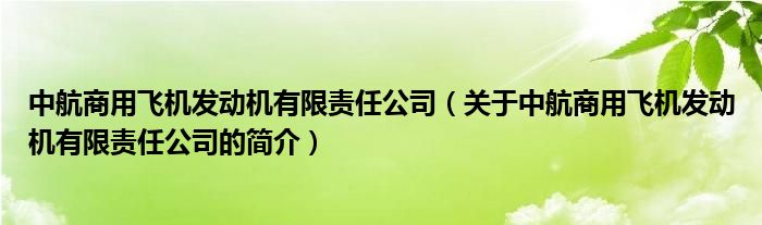 中航商用飛機(jī)發(fā)動(dòng)機(jī)有限責(zé)任公司（關(guān)于中航商用飛機(jī)發(fā)動(dòng)機(jī)有限責(zé)任公司的簡介）