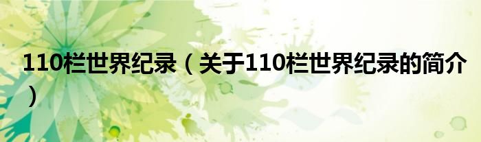 110欄世界紀錄（關于110欄世界紀錄的簡介）