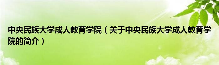 中央民族大學成人教育學院（關于中央民族大學成人教育學院的簡介）