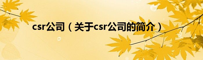 csr公司（關于csr公司的簡介）