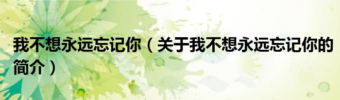 我不想永遠(yuǎn)忘記你（關(guān)于我不想永遠(yuǎn)忘記你的簡(jiǎn)介）