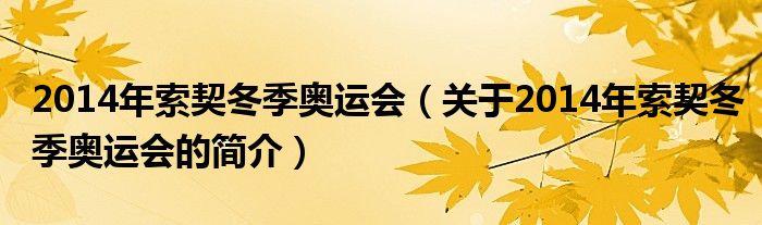 2014年索契冬季奧運(yùn)會(huì)（關(guān)于2014年索契冬季奧運(yùn)會(huì)的簡(jiǎn)介）