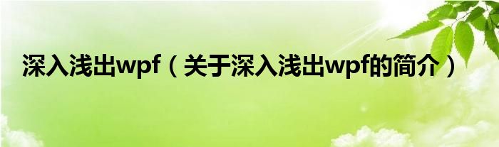 深入淺出wpf（關(guān)于深入淺出wpf的簡(jiǎn)介）