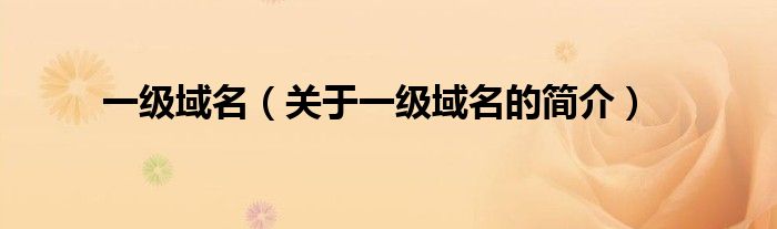 一級(jí)域名（關(guān)于一級(jí)域名的簡(jiǎn)介）