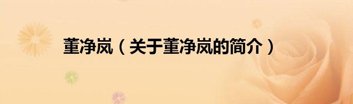 董凈嵐（關(guān)于董凈嵐的簡(jiǎn)介）