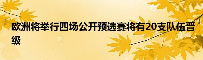 歐洲將舉行四場(chǎng)公開(kāi)預(yù)選賽將有20支隊(duì)伍晉級(jí)