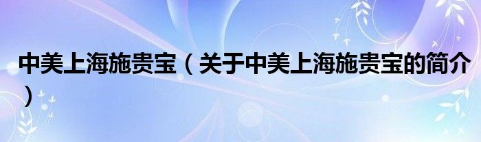 中美上海施貴寶（關(guān)于中美上海施貴寶的簡(jiǎn)介）