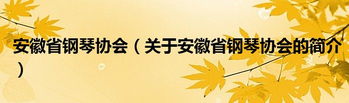 安徽省鋼琴協(xié)會（關(guān)于安徽省鋼琴協(xié)會的簡介）