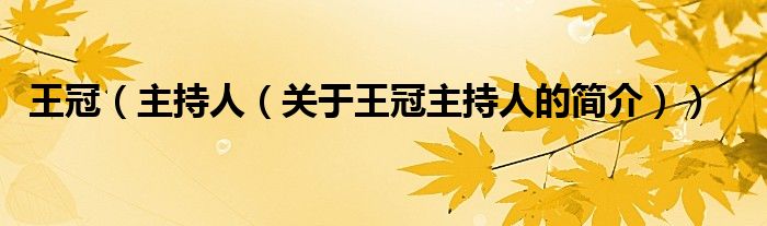 王冠（主持人（關(guān)于王冠主持人的簡(jiǎn)介））