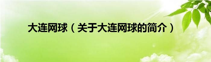 大連網(wǎng)球（關(guān)于大連網(wǎng)球的簡(jiǎn)介）