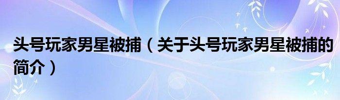 頭號玩家男星被捕（關(guān)于頭號玩家男星被捕的簡介）