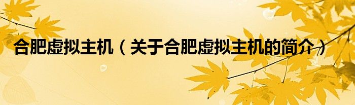 合肥虛擬主機（關(guān)于合肥虛擬主機的簡介）