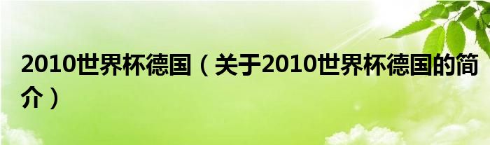 2010世界杯德國（關(guān)于2010世界杯德國的簡介）