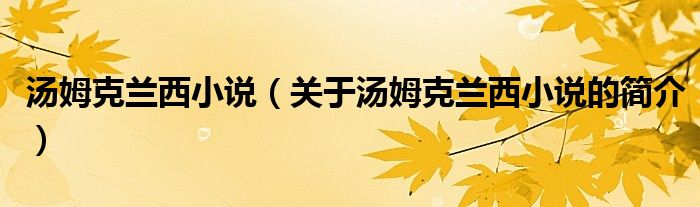 湯姆克蘭西小說（關(guān)于湯姆克蘭西小說的簡介）