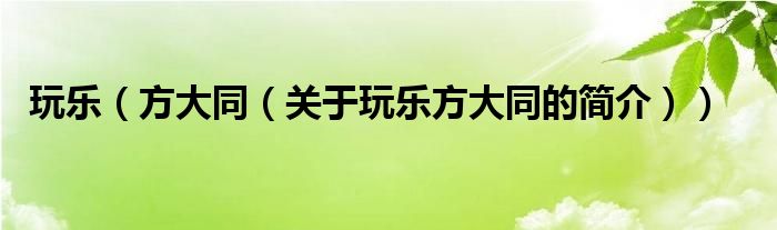 玩樂(lè)（方大同（關(guān)于玩樂(lè)方大同的簡(jiǎn)介））