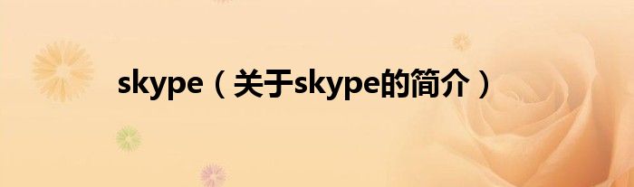 skype（關(guān)于skype的簡(jiǎn)介）