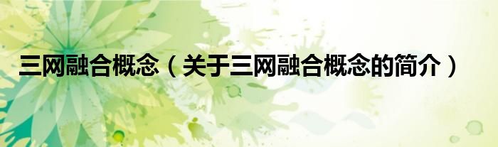 三網(wǎng)融合概念（關(guān)于三網(wǎng)融合概念的簡(jiǎn)介）