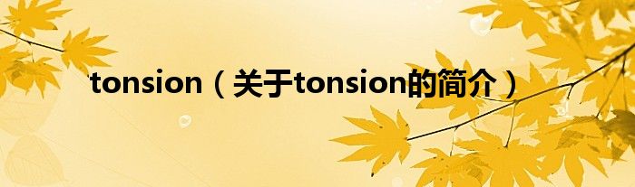 tonsion（關(guān)于tonsion的簡(jiǎn)介）