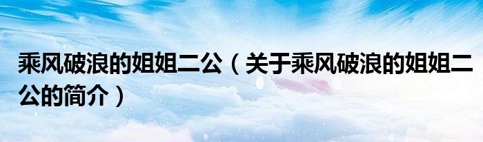 乘風(fēng)破浪的姐姐二公（關(guān)于乘風(fēng)破浪的姐姐二公的簡介）