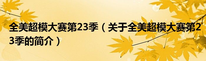 全美超模大賽第23季（關(guān)于全美超模大賽第23季的簡(jiǎn)介）