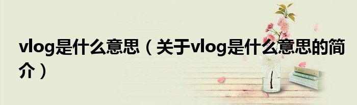 vlog是什么意思（關于vlog是什么意思的簡介）