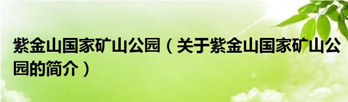 紫金山國家礦山公園（關于紫金山國家礦山公園的簡介）